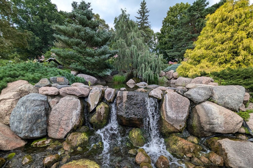 dentist in Chaska MN comprehensive dentistry